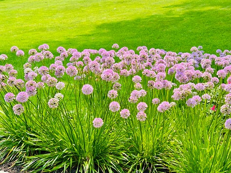 Snapshots of a lakeside vacation in the USA