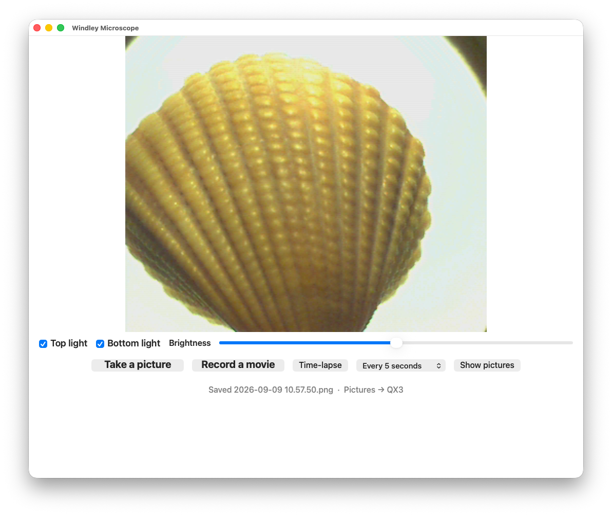 The Windley Microscope app showing a live view of a seashell The Windley Microscope app showing a live view of a seashell