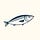 The Sardine Report