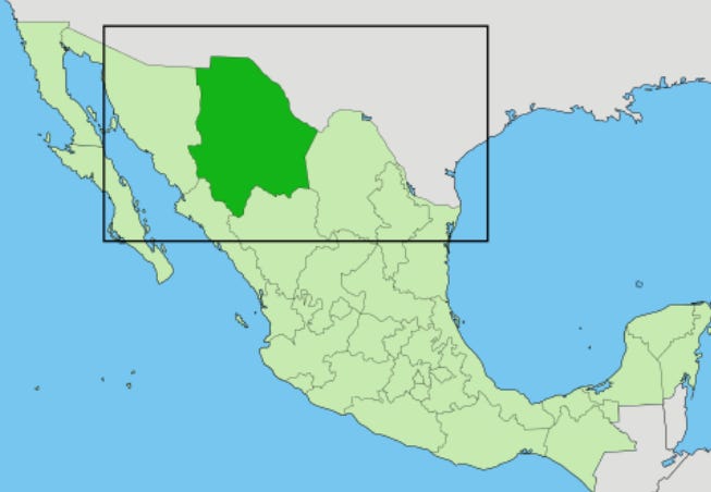 Mexico: Chihuahua reports first case of rickettsiosis in 2026