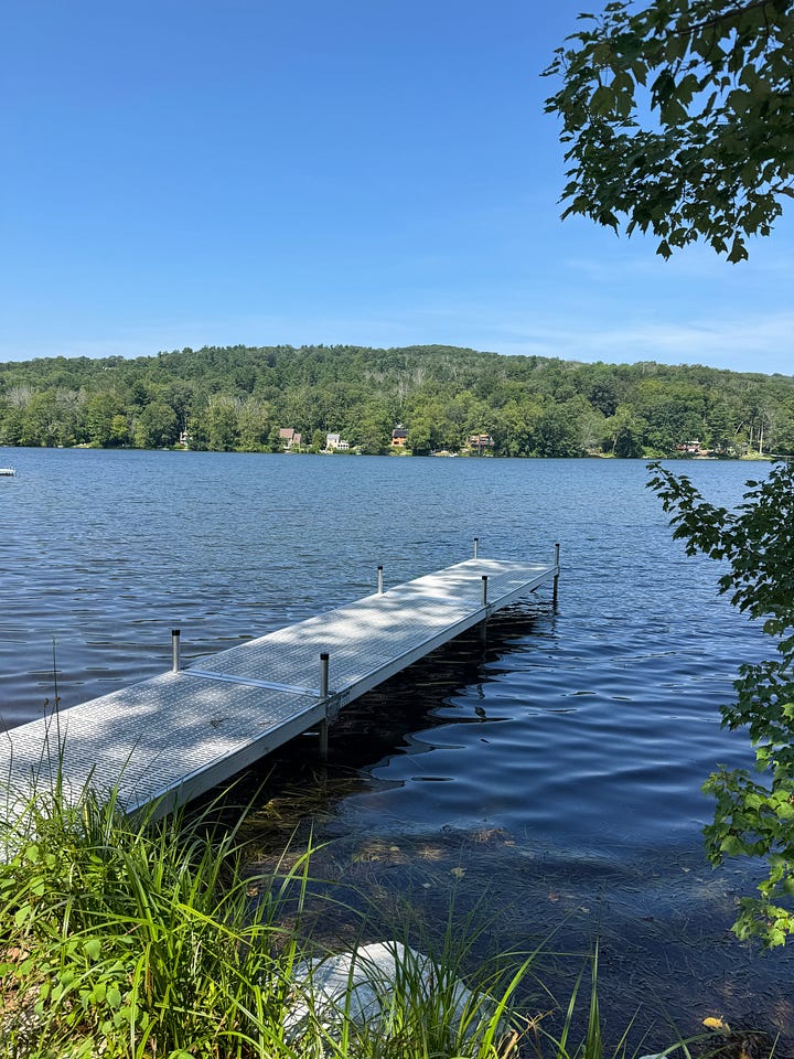 Pine cabins on a lake.