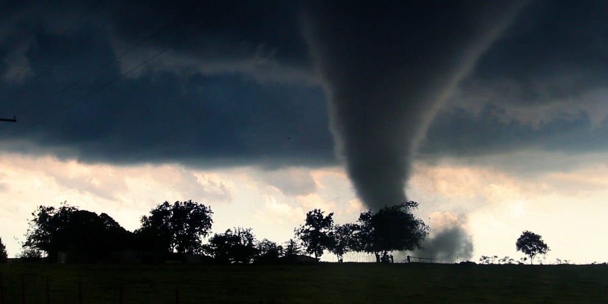 Trump, Race, and the Pacification of DC