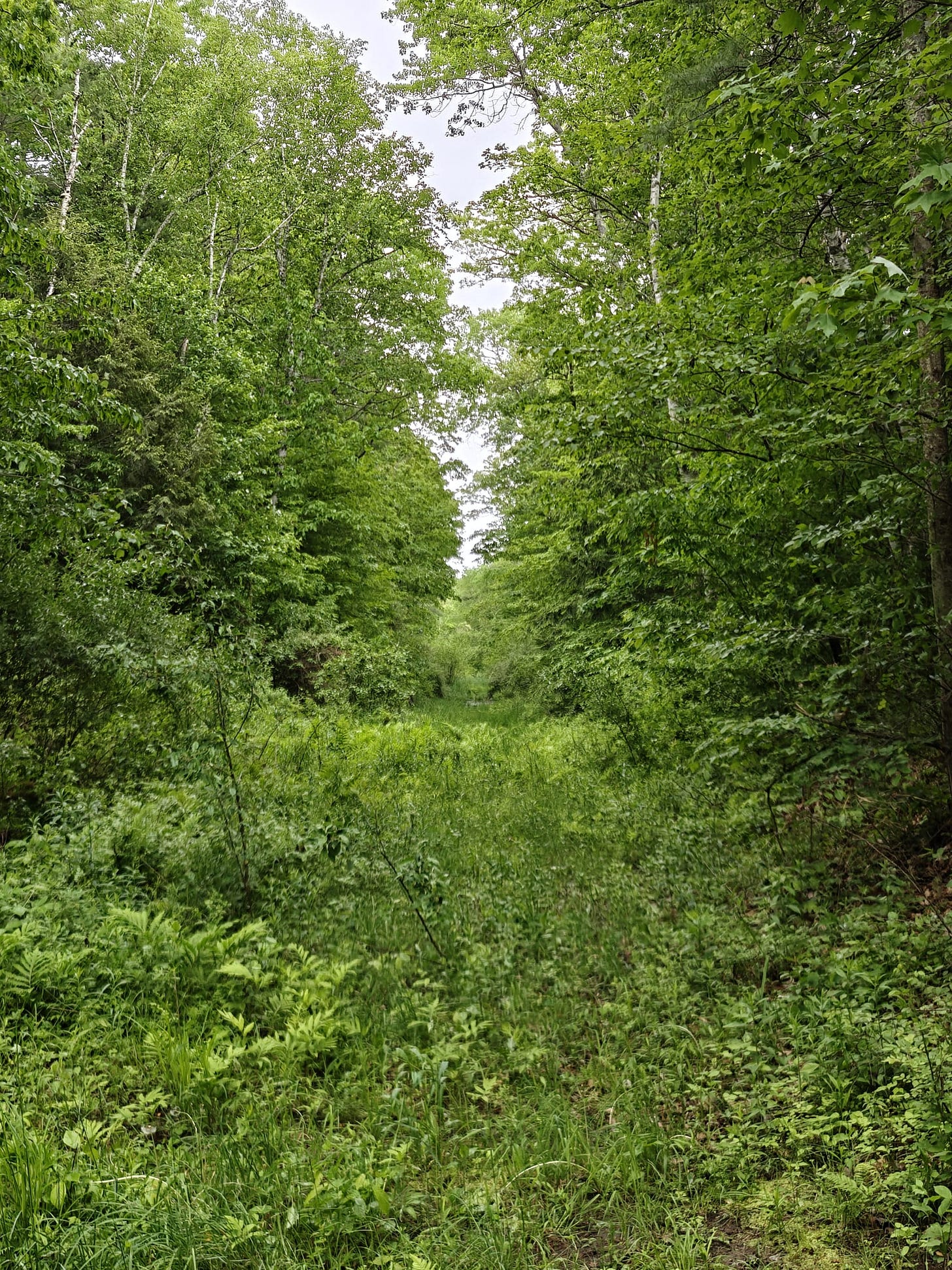 A Trek Along the Cocheco Railroad