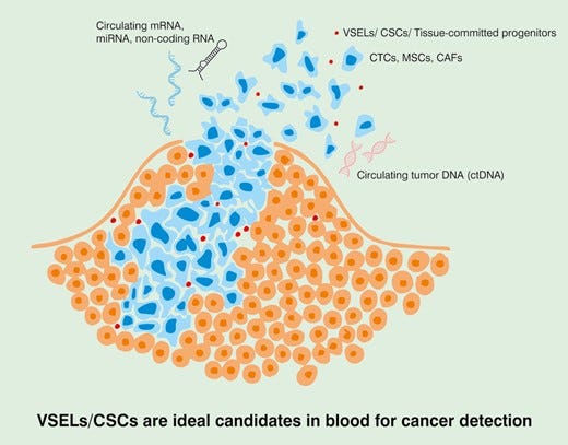 Graphical Abstract