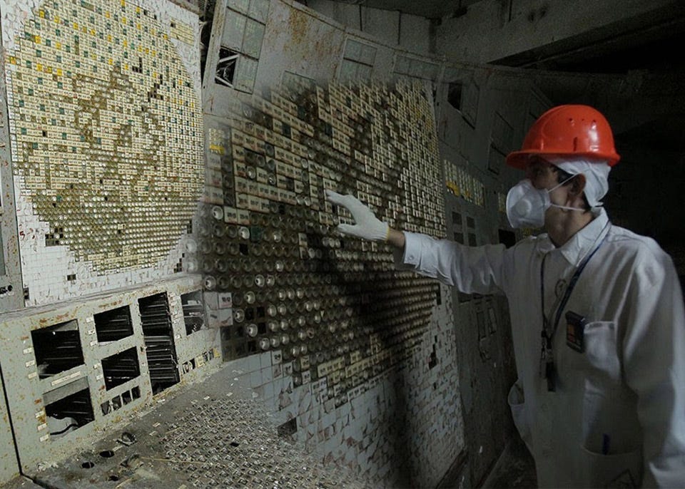 Fungus Chernobyl Disaster Nuclear Reactor Radiation