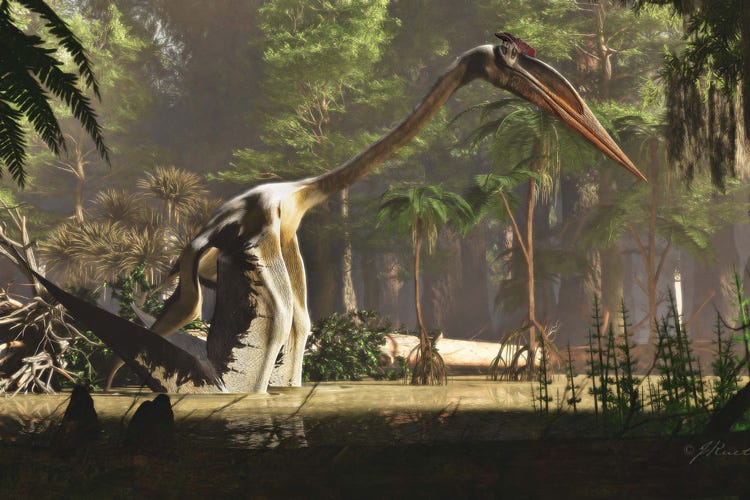 Fleshing out the bones of Quetzalcoatlus, Earth's largest flier ever - Berkeley News Fleshing out the bones of Quetzalcoatlus, Earth's largest flier ever - Berkeley News