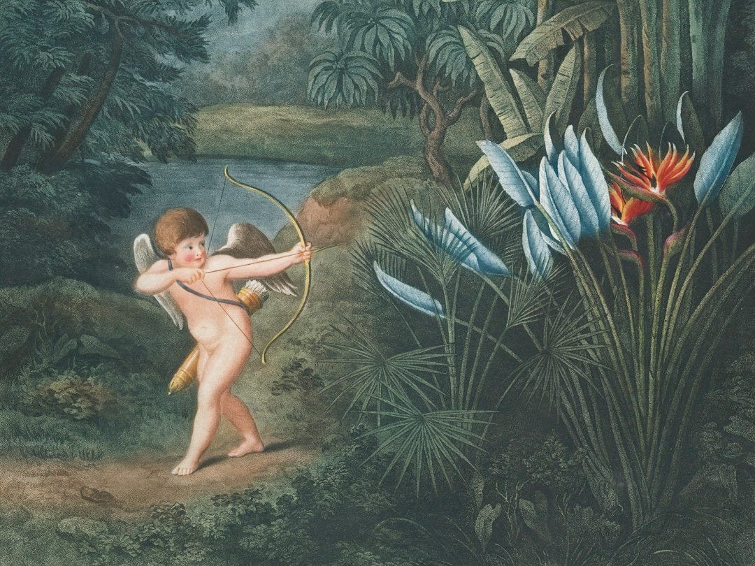 cherub holding bow and arrow near orange petaled flower painting