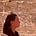 Celine D+'s avatar