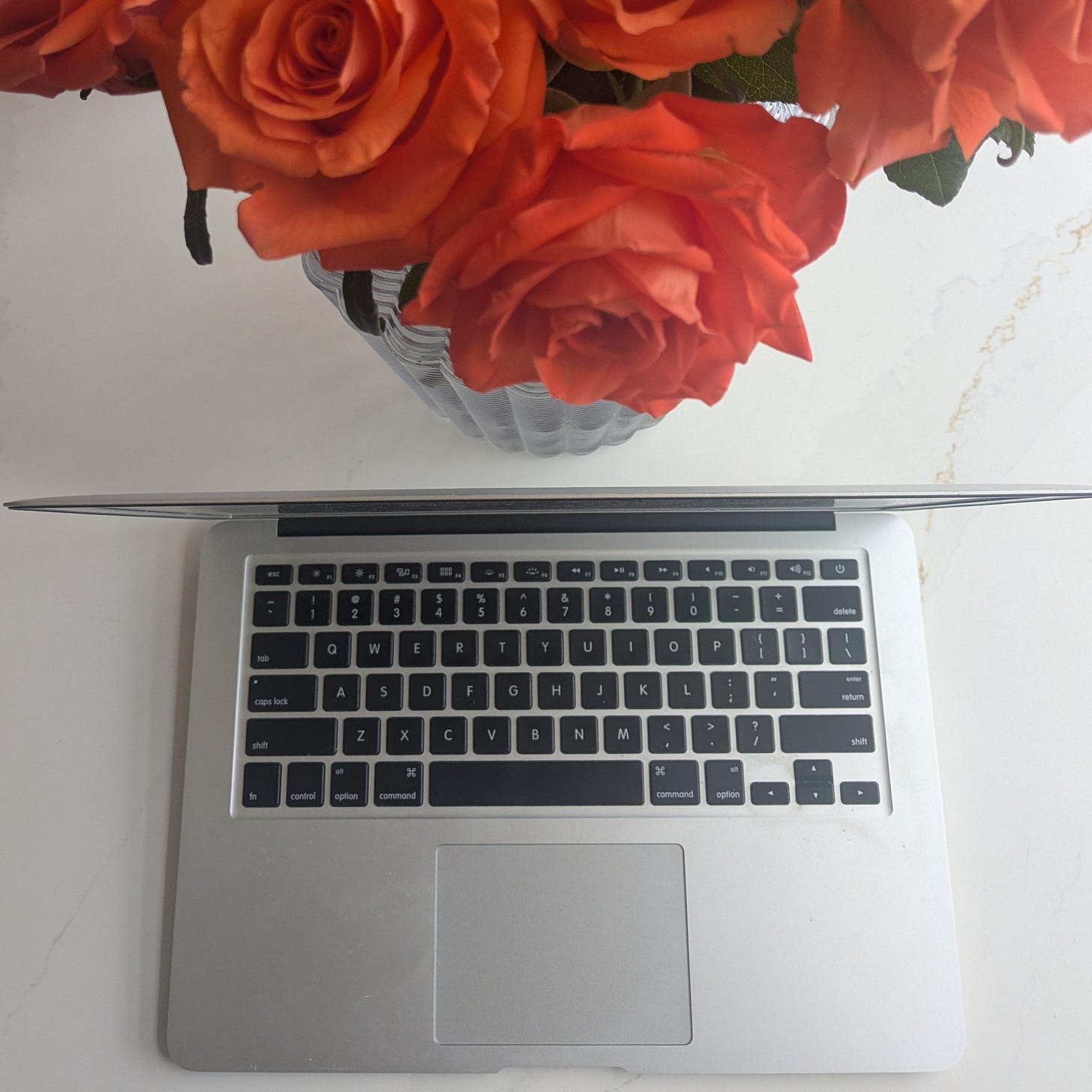 orange roses and lap top