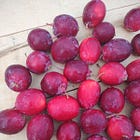 Episode 48 - What is a Dolgo Crabapple?