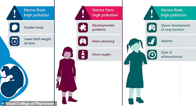 Over a lifetime, pollution including car exhaust fumes can slow lung development, cause or worsen asthma and cause heart attacks, lung cancer and strokes. Pictured: The report showed how foetuses, babies and children can develop issues because of air pollution