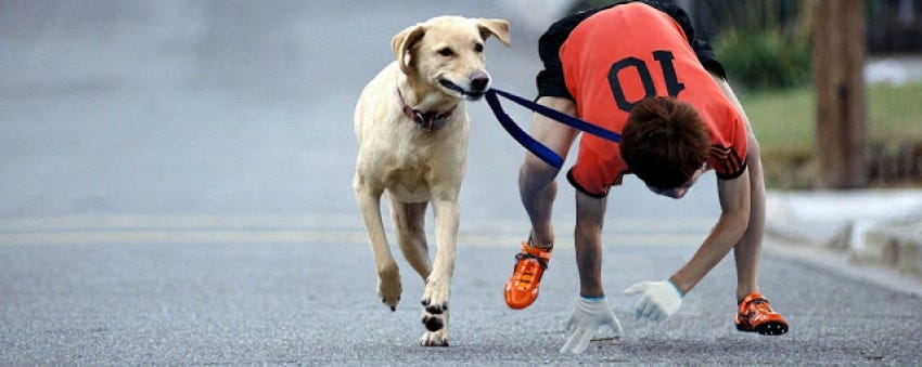 Entrevista con Pedro Tarquis: El animalismo Entrevista con Pedro Tarquis: El animalismo