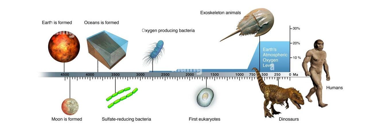 Evolution of Earth timeline. Computer illustration of a timeline showing  the evolution of Earth, from its creation (far left) to the emergence of  mode Stock Photo - Alamy