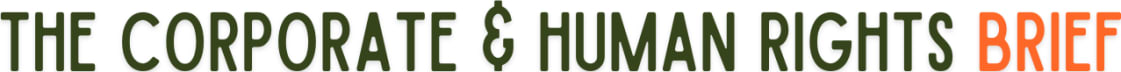 The Corporate & Human Rights Brief