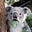 Annoyed_Koala's avatar