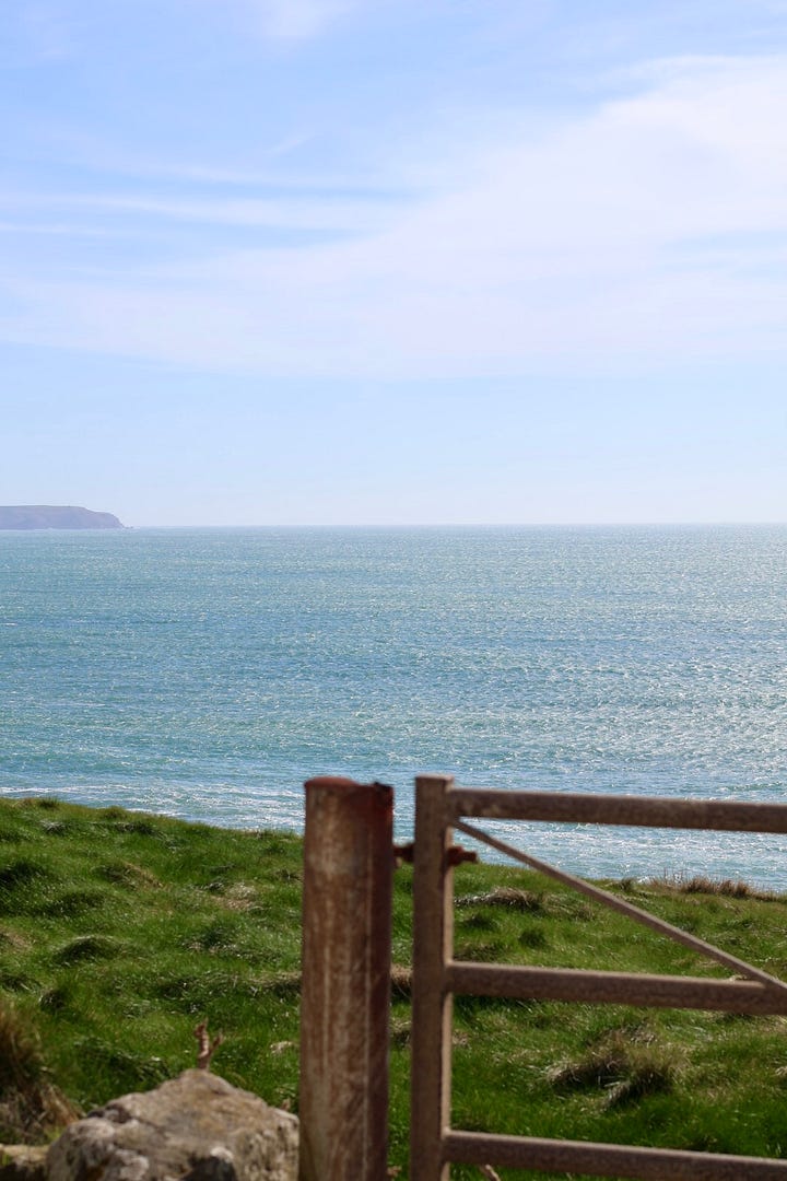 Coastal view of a sandy beach with waves rolling in beneath a clear blue sky, alongside a grassy cliffside overlooking the sea.