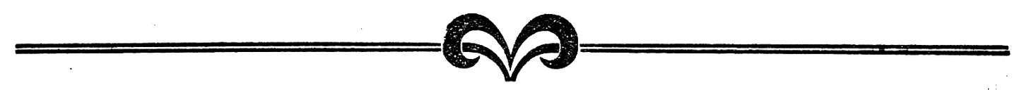 Vintage divider line