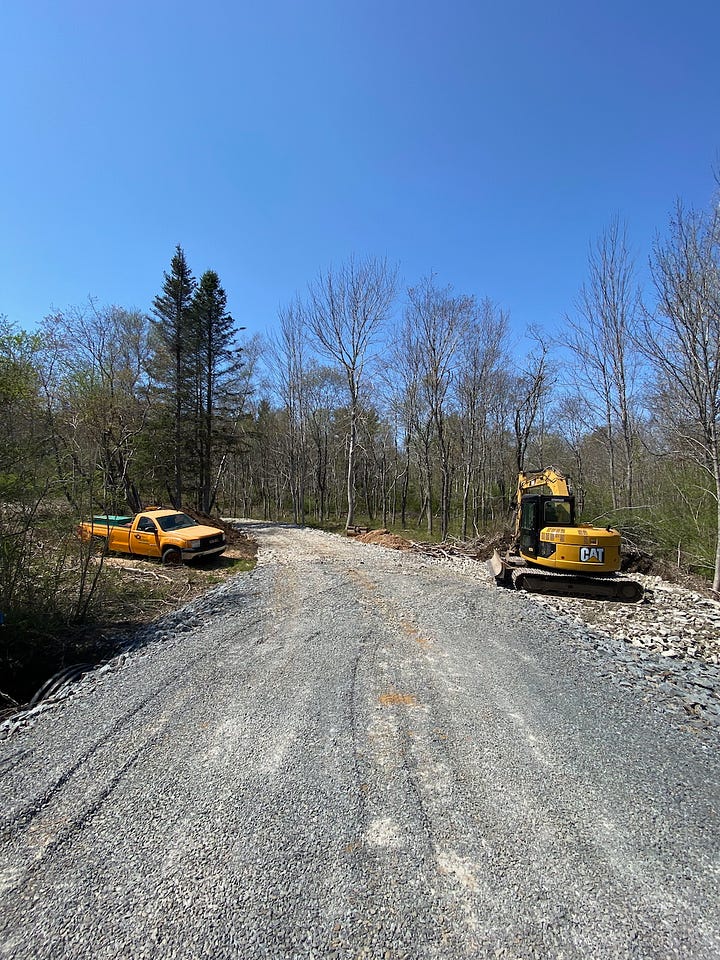 Views of the first version of the driveway