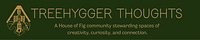 🌳 Treehygger Thoughts 🌳