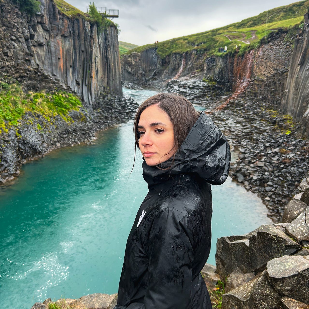 Artwork for Presa por sincericídio