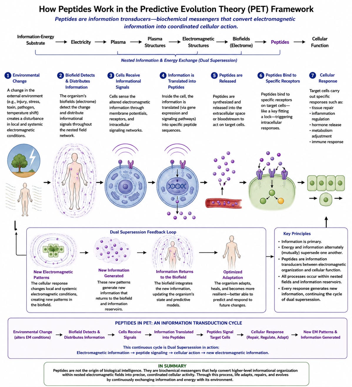 Amino acids Proteins vs peptides Cellular communication Electromagnetic fields Biological information Electrome Plasma cosmology Information-energy substrate Dual Supersession Bioelectricity Tissue repair Hormone signaling Molecular biology Cell receptors Biological signaling