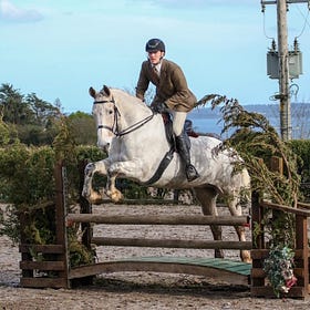 Wonderful Working Hunter at Knockagh View