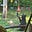 A View From My Back Porch's avatar