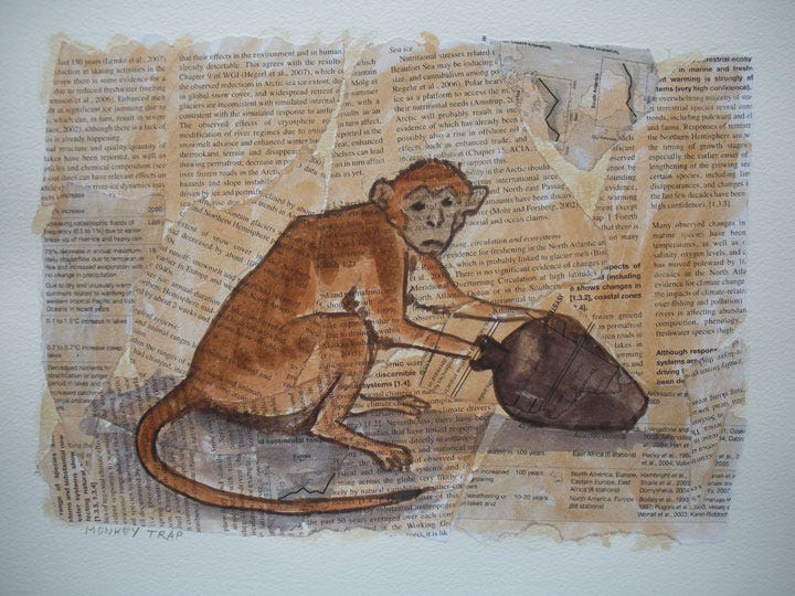 Lent and the South Indian Monkey Trap | Still Far Off... Lent and the South Indian Monkey Trap | Still Far Off...