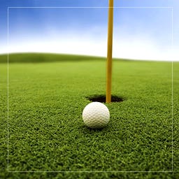 Greebs In Regulation