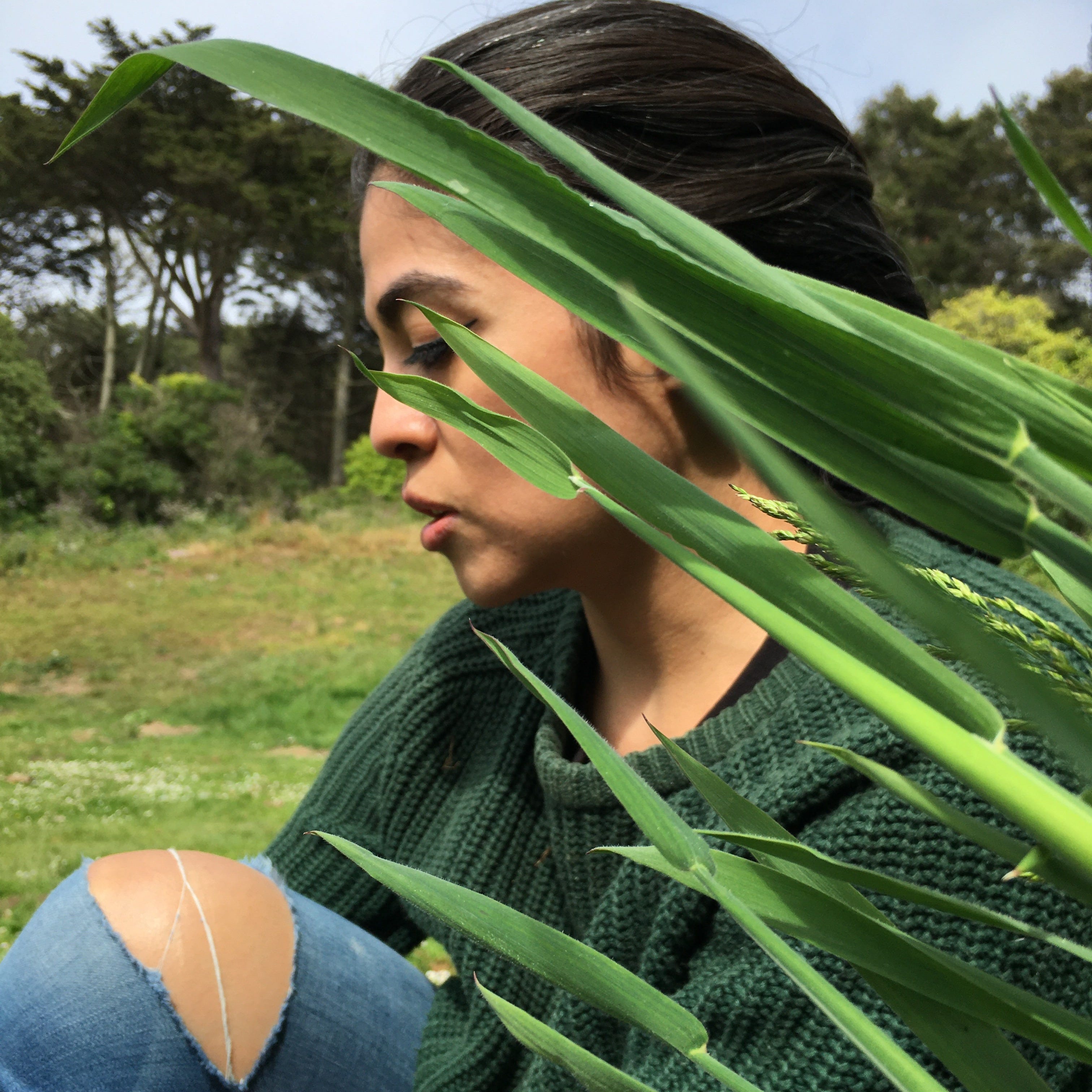 Ingrid Rojas Contreras