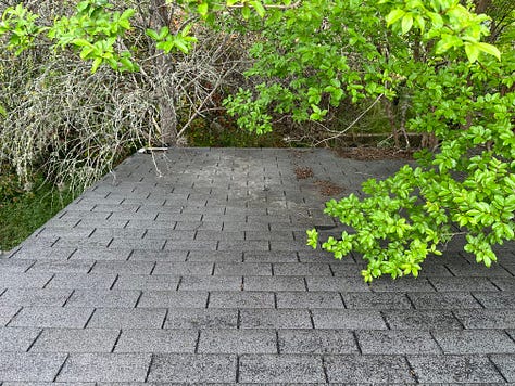Roof Pictures