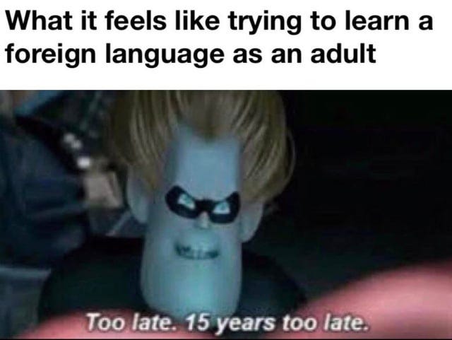Language learning as an adult Language learning as an adult
