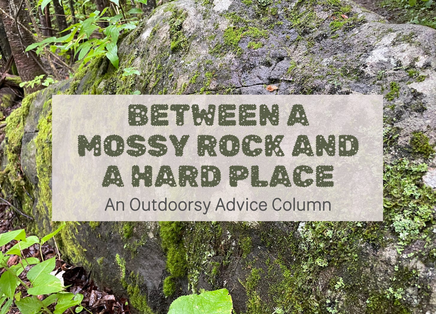 Between A Mossy Rock & A Hard Place: An Outdoorsy Advice Column