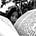 Simran Chaudhary Vela's avatar