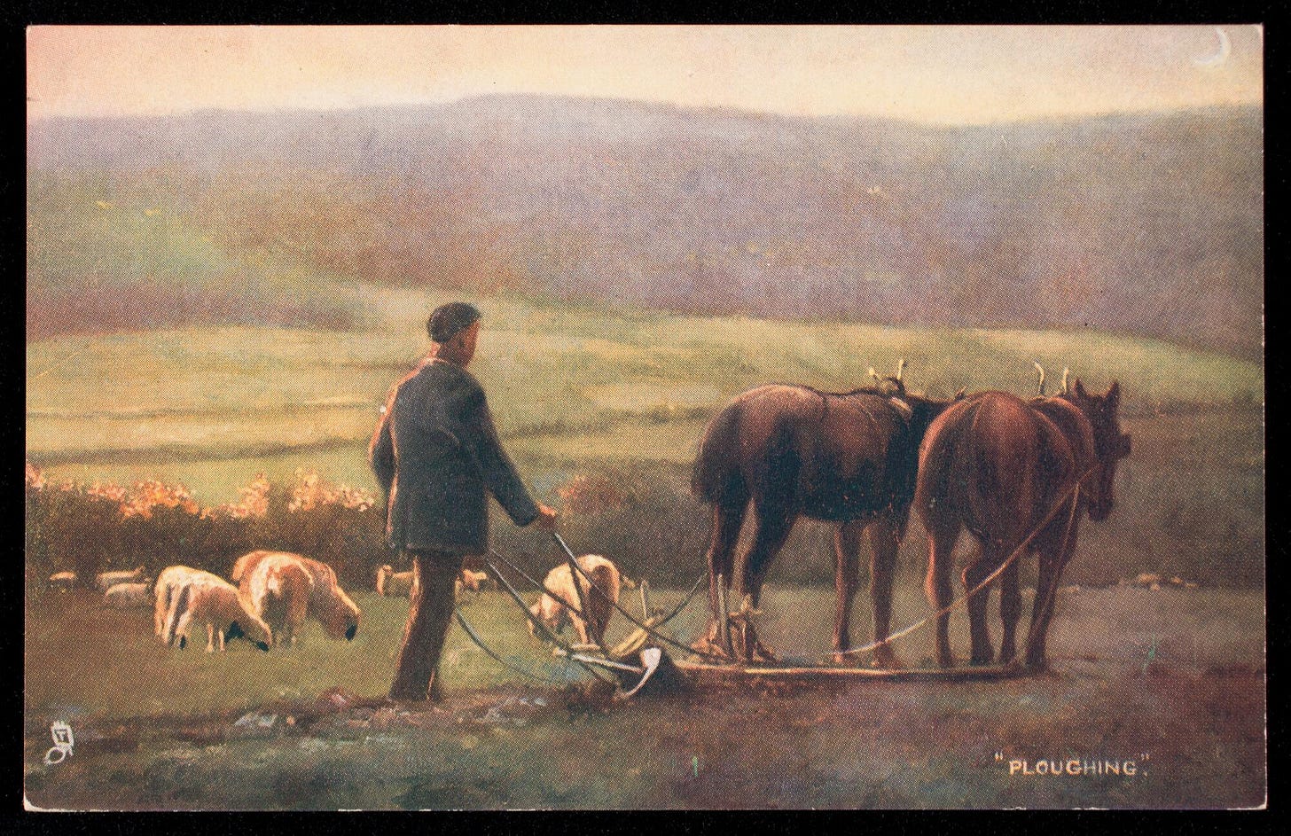 Ploughing (postcard) published by Raphael Tuck & Sons.