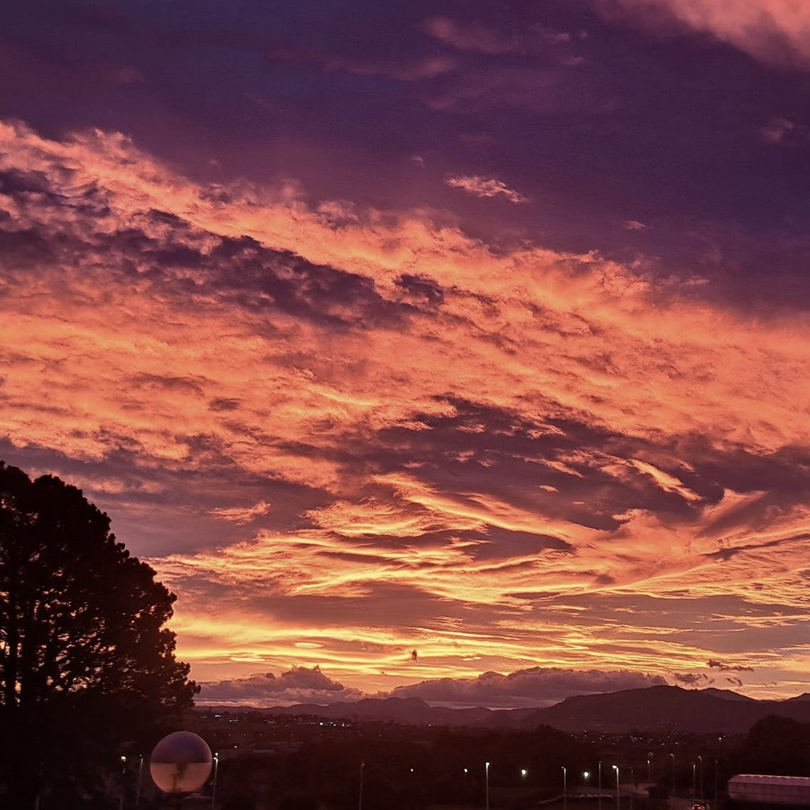 Leyendo en Legítima Defensa