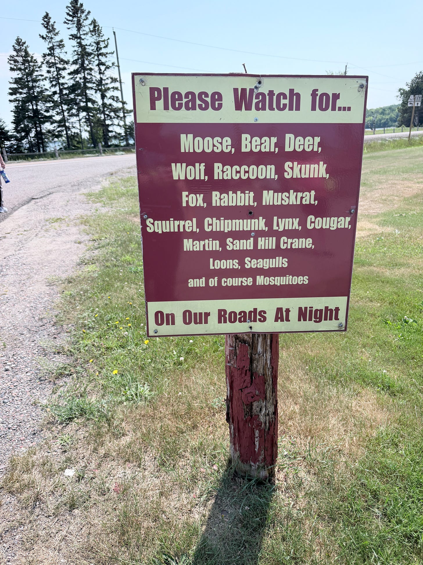 A road sign warning drivers to be aware of animals from moose to mosquitoes A road sign warning drivers to be aware of animals from moose to mosquitoes