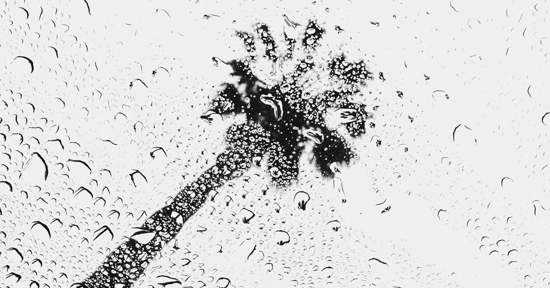 water dew wallpaper water dew wallpaper