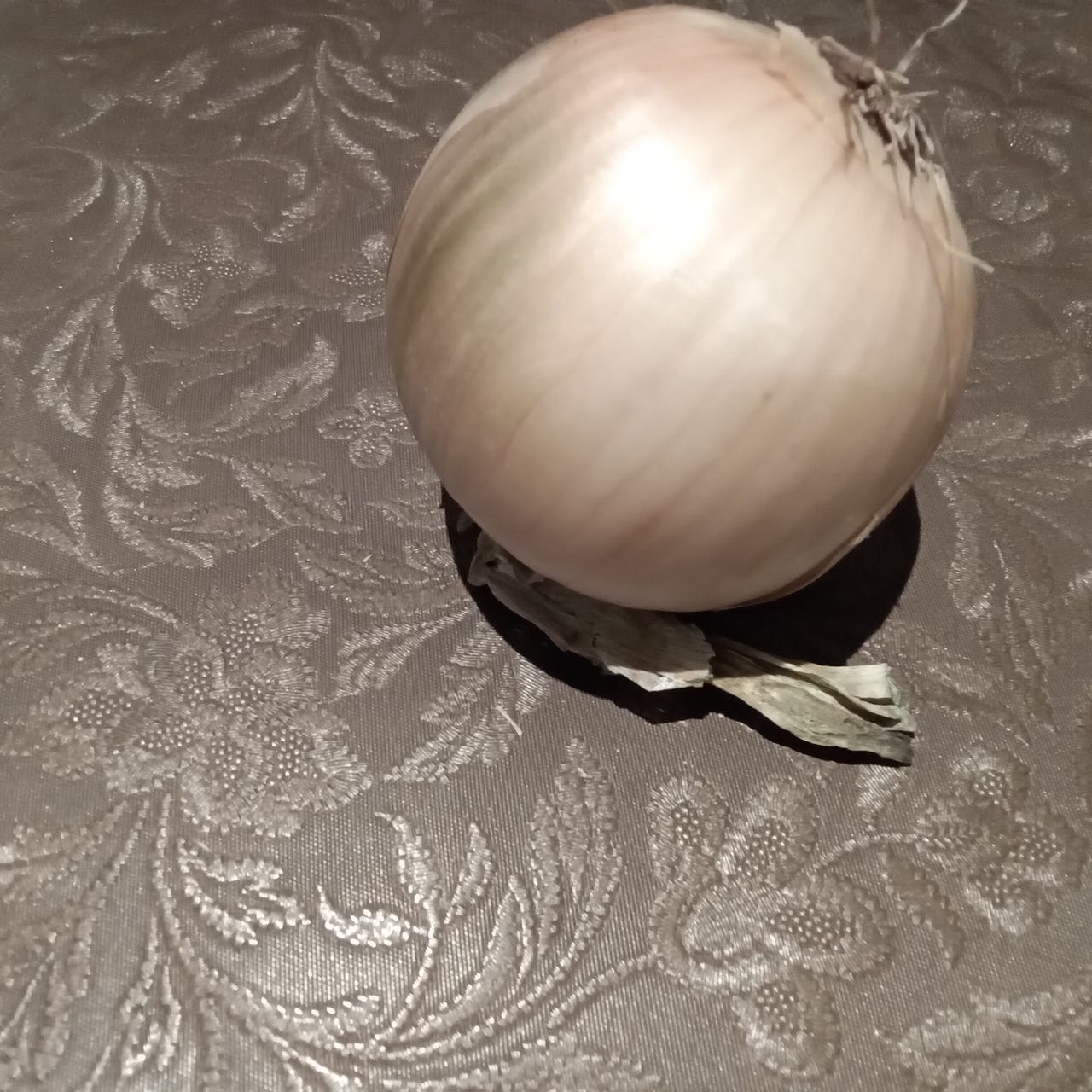 An Onion On My Belt