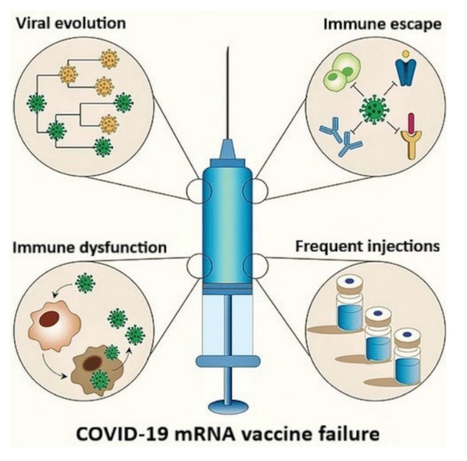 cancer stem cell pathways