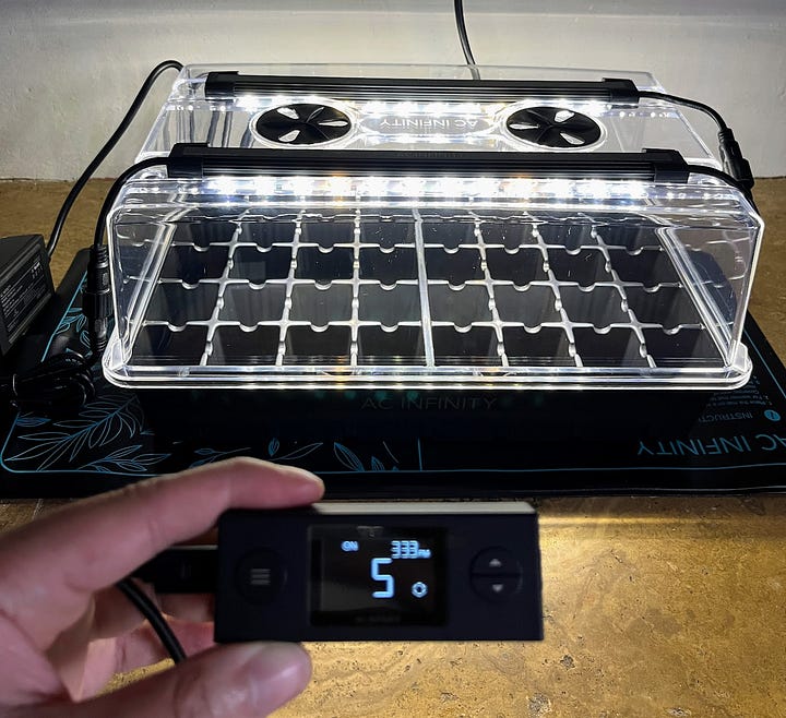 Hand holding tomato seeds, empty seed tray with grow light lid on top