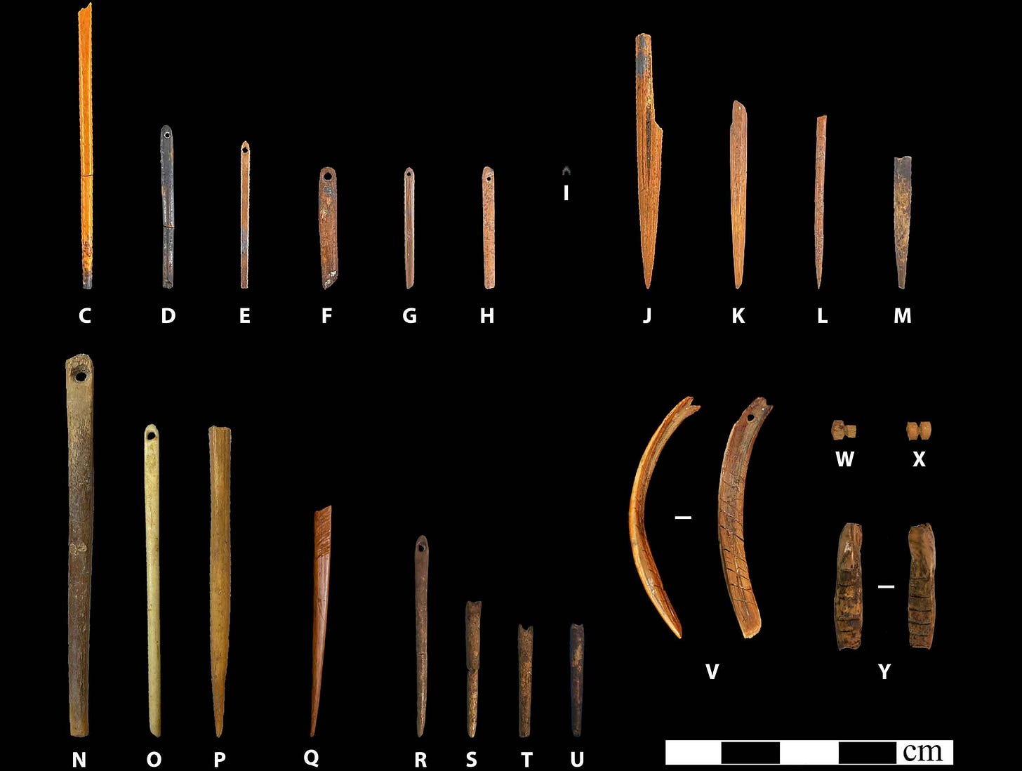 A selection of needles made from bone or wood from archaeological sites in the Great Basin A selection of needles made from bone or wood from archaeological sites in the Great Basin