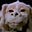 Falcor's avatar
