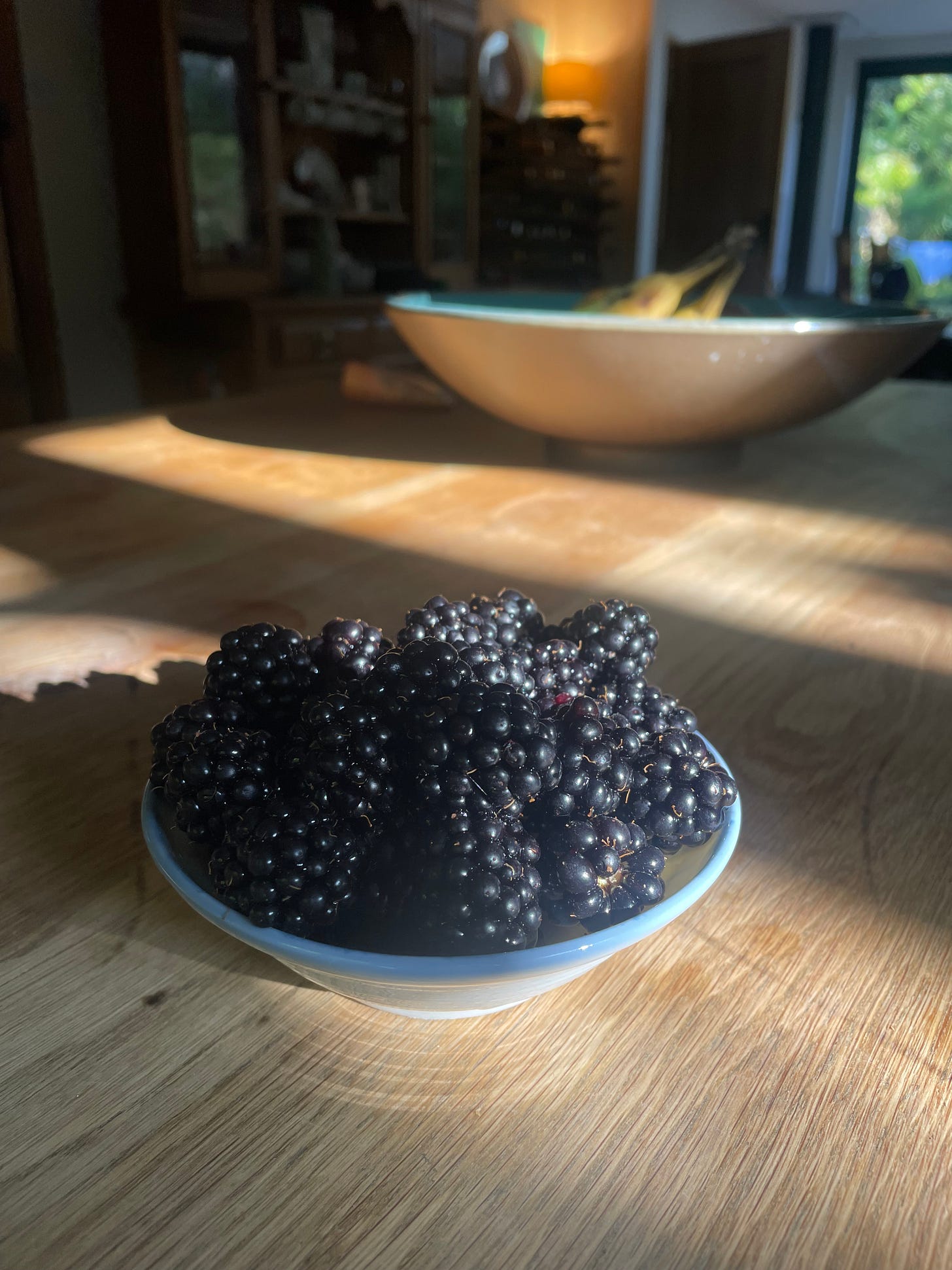 Glistening blackberries in a white and blue bowl on a sun-dappled brown surface; there is a larger white bowl and a window onto green in the distance Glistening blackberries in a white and blue bowl on a sun-dappled brown surface; there is a larger white bowl and a window onto green in the distance
