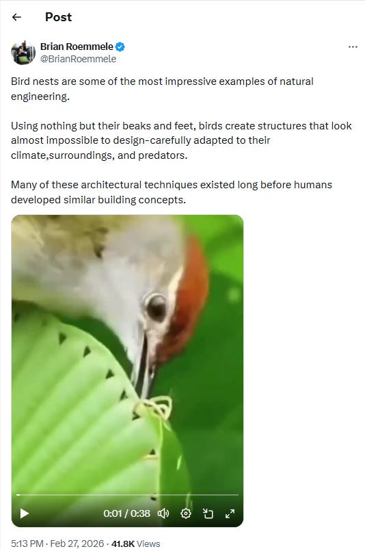 Bird’s Nest Architectural Majesty