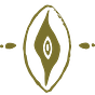 Wild Heart Seed Wisdom Center's avatar