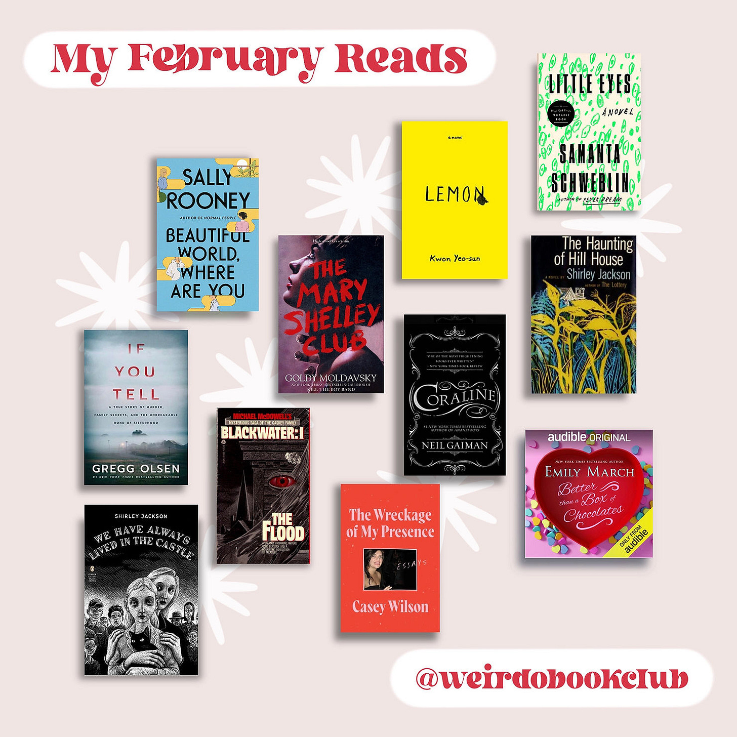 A cute illustration of all the books read in January.