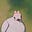 Kitty's avatar
