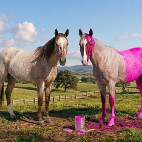Horse of a different color?