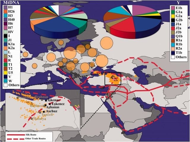 John’s Hopkin’s Genome Study Proves Jews ‘Interlopers’ in Palestine…no ‘Semitic Blood’ WHATSOEVER…